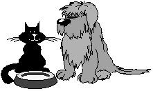 Bentham and District Pet Rescue