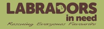 Labradors In Need