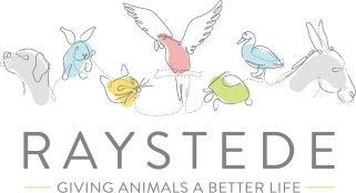 The Raystede Centre For Animal Welfare