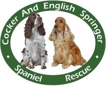 Cocker and English Springer Spaniel Rescue