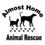 Almost Home Animal Rescue NI