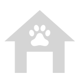 Greyhound Trust Durham