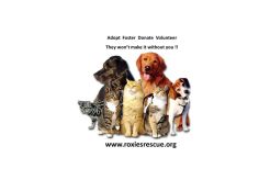 Roxies Rescue