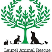 Laurel Animal Rescue
