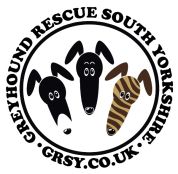 Greyhound Rescue South Yorkshire