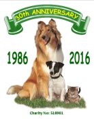 Abandoned Animals Association