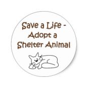 World Animal Friends