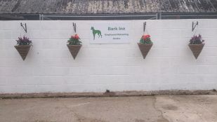 Bark Inn Kennels