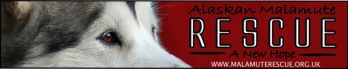Alaskan Malamute Club UK Rescue