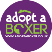 Adopt A Boxer Scotland