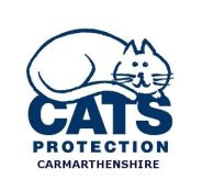 Cats Protection Carmarthenshire