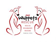 Just Whippets Rescue