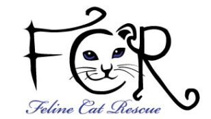 Feline Cat Rescue