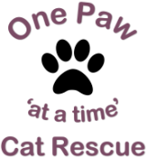 One Paw Cat Rescue