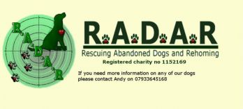 RADAR Dog Rescue