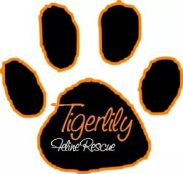 Tigerlily Feline Rescue