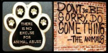 Animals of Hope Senior Dog & Cat Home