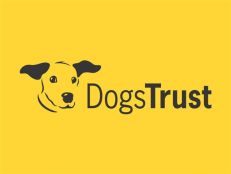 Dogs Trust Merseyside