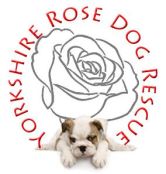Yorkshire Rose Dog Rescue