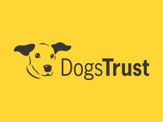 Dogs Trust West Calder