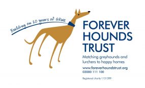 Forever Hounds Trust