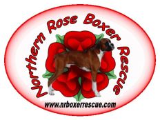 Northern Rose Boxer Rescue