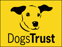 Dogs Trust Snetterton