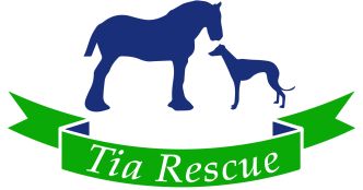 Tia Greyhound and Lurcher Rescue