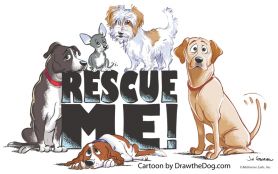 Alpet Poundies Rescue