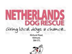netherlands dog rescue