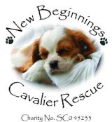 New Beginnings Cavalier Rescue
