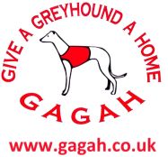 Give A Greyhound A Home