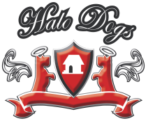 Halo Dogs Rescue & Rehabilitation