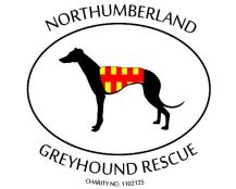 Northumberland Greyhound Rescue