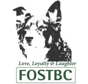 The Freedom of Spirit Trust for Border Collies