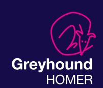 Greyhound Homer Suffolk