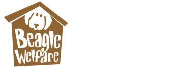 Beagle Welfare