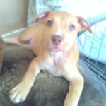 Beautiful little green eye boy