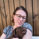 Labrador retriever puppies for sale