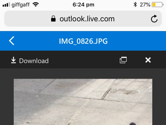 **Lovely Blue Female Frenchbulldog**