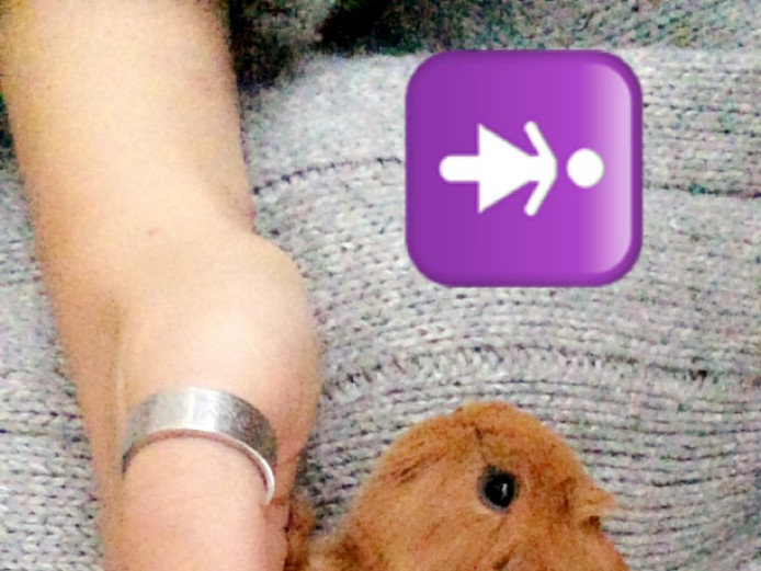 Baby Guinea Pigs and Teddy Pigs 