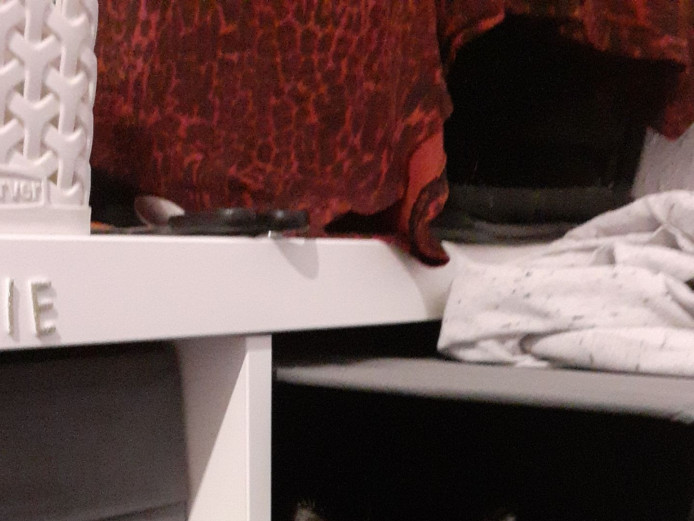 1 year old male- News home ASAP