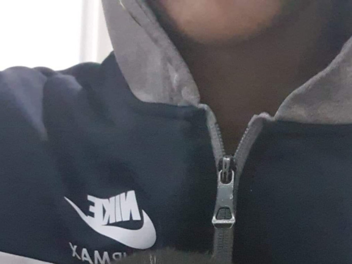 2 x Male Husky Pups For Sale