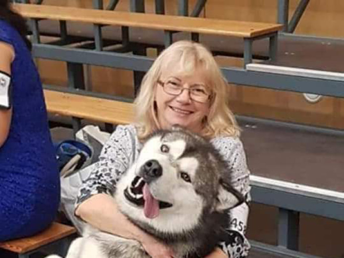 Alaskan Malamute Puppies for sale chempion line