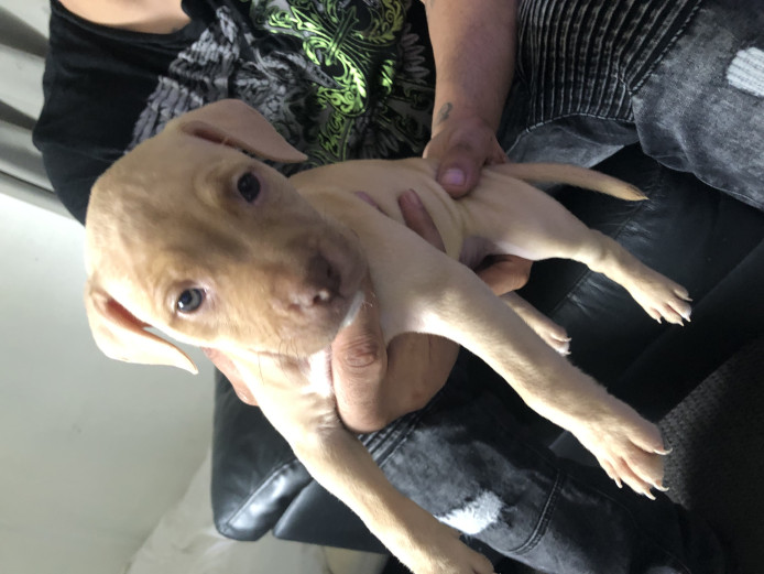 Champagne bitch staff 