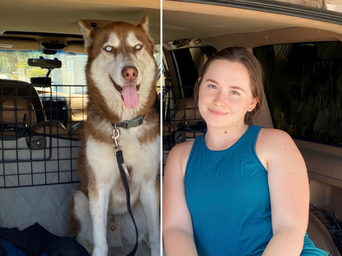 Beautiful Red Siberian Husky - Best you will see !