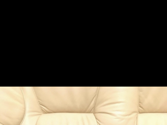 Beautiful Litter Of 8 Blue Staffordshire Staff Pups