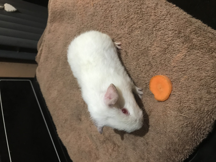 Beautiful little boy