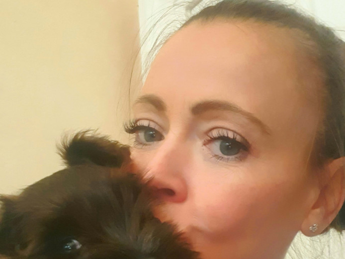 Absolutely beautiful Miniature Schnauzer puppies 