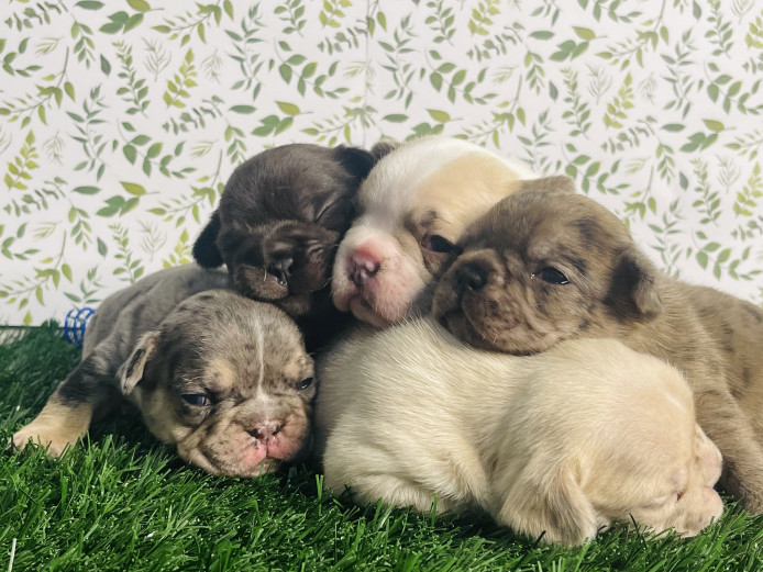 Your New Best Friends!!